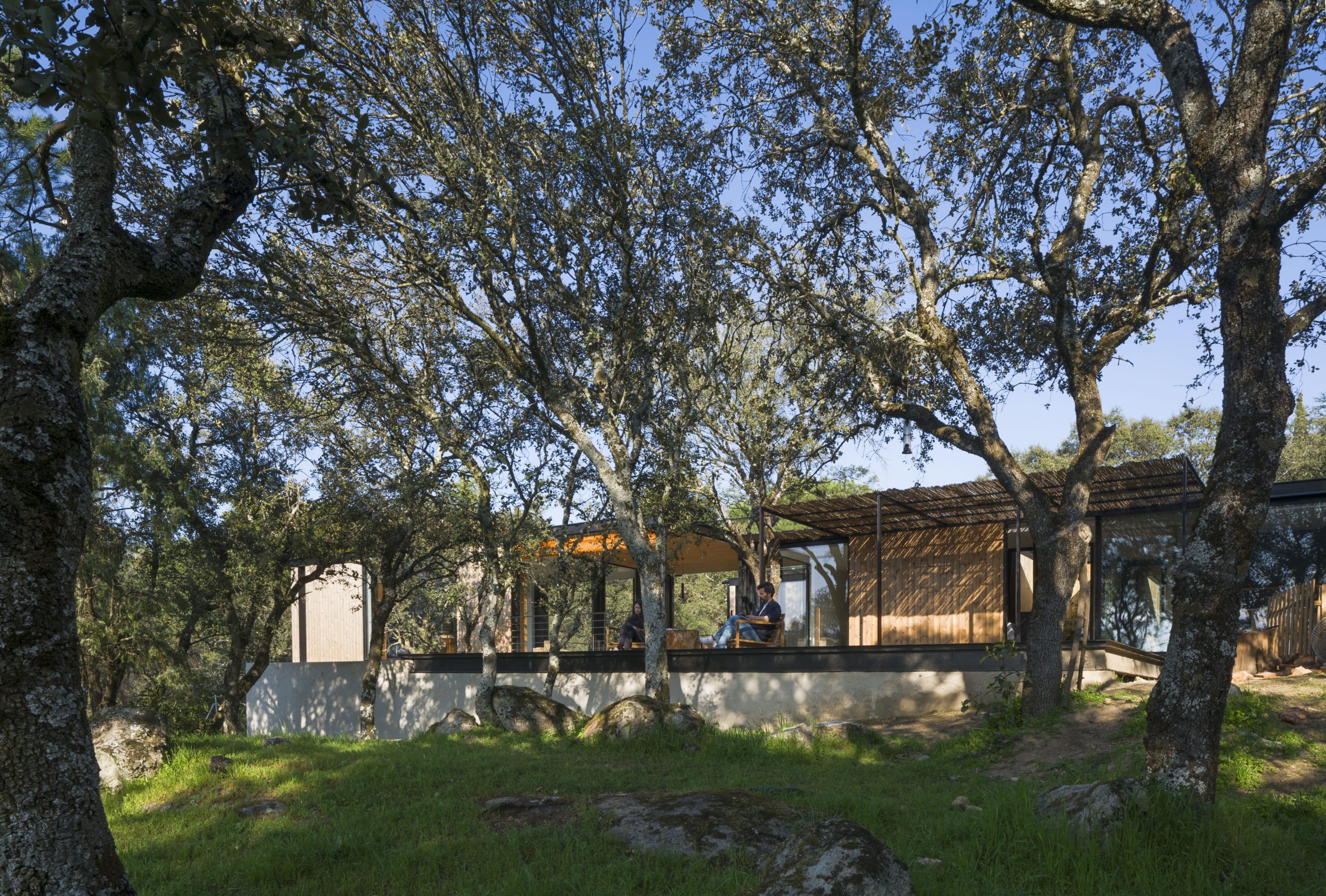 Casa modular Tini L de madera con pérgola y terraza soleada entre encinas